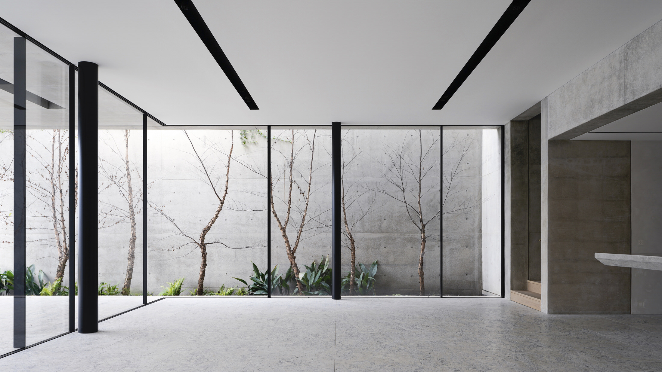 Lavender Bay House by Tobias Partners